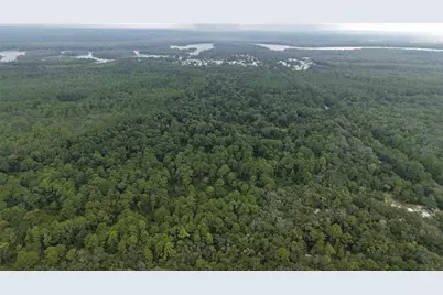 162 Carriage Place, Satsuma, FL 32189 - Photo 2