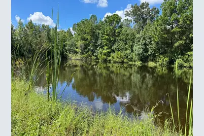 Mecca Hammock Trail, Sanford, FL 32773 - Photo 6