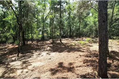 3094 E Scofield Street, Inverness, FL 34453 - Photo 2