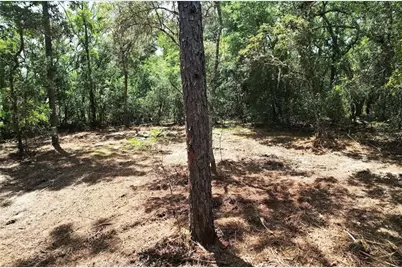 3094 E Scofield Street, Inverness, FL 34453 - Photo 6