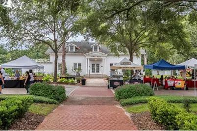 706 Oakdale Street, Windermere, FL 34786 - Photo 46