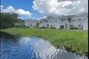 4127 Dolphin Dr, Tampa, FL 33617 - Photo 56