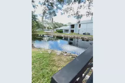 4127 Dolphin Drive #4127, Tampa, FL 33617 - Photo 30