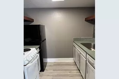 4127 Dolphin Drive #4127, Tampa, FL 33617 - Photo 2