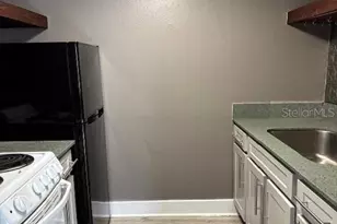 4127 Dolphin Dr, Tampa, FL 33617 - Photo 2