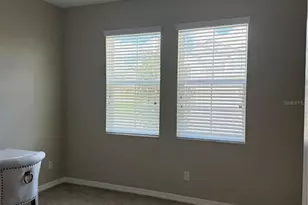 31954 Sapna Chime Dr, Wesley Chapel, FL 33545 - Photo 10