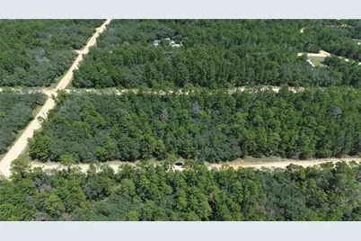 Neilsen Ave, Interlachen, FL 32148 - Photo 2