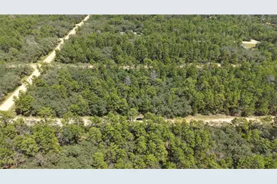 Neilsen Ave, Interlachen, FL 32148 - Photo 16