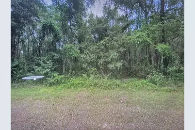 893 E Byrd Loop, Citrus Springs, FL 34434 - Photo 2