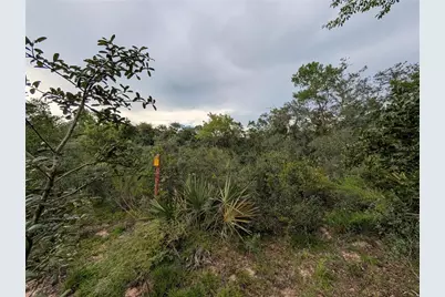 20683 SE 140th Street, Umatilla, FL 32784 - Photo 10