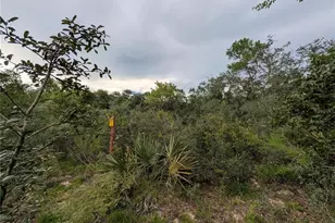 20683 SE 140th St, Umatilla, FL 32784 - Photo 10
