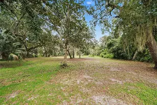 16731 SE 181st Terrace, Weirsdale, FL 32195 - Photo 48