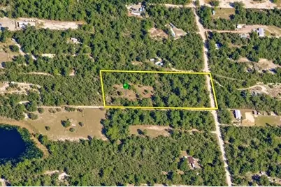 43401 Cooter Pond Road, Deland, FL 32720 - Photo 6