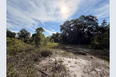 21231 NW 270th Street, Okeechobee, FL 34972 - Photo 4