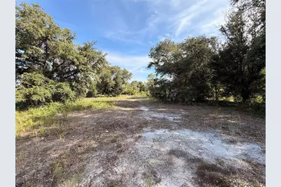 21231 NW 270th Street, Okeechobee, FL 34972 - Photo 6