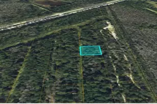 N Street-7001-13-00-1580, Deland, FL 32724 - Photo 1