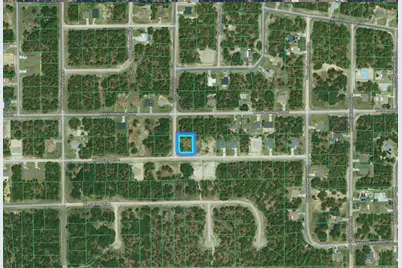 1127 W Cary Drive, Citrus Springs, FL 34434 - Photo 6