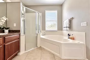 13303 Moss Park Ridge Dr, Orlando, FL 32832 - Photo 14