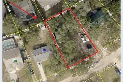 Palm Street, Lady Lake, FL 32159 - Photo 1