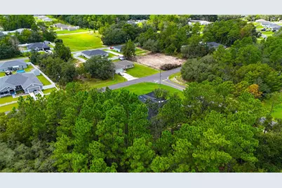 14687 SW 61st Court, Ocala, FL 34473 - Photo 46