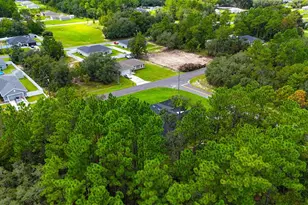 14687 SW 61st Ct, Ocala, FL 34473 - Photo 46