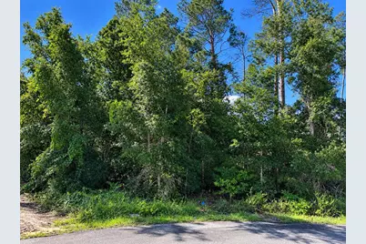 Lot 44 Short Court, Spring Hill, FL 34609 - Photo 2