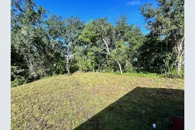 31608 Skyline Drive, Deland, FL 32720 - Photo 8