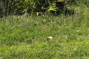 2 24th, Ocala, FL 34481 - Photo 1