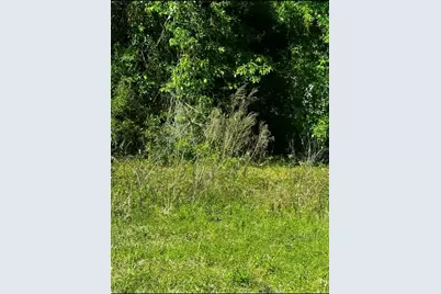 2 24th, Ocala, FL 34481 - Photo 2