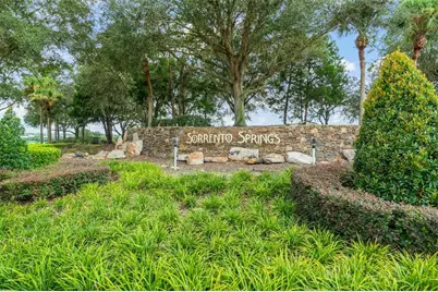 33411 Terragona Drive, Sorrento, FL 32776 - Photo 52