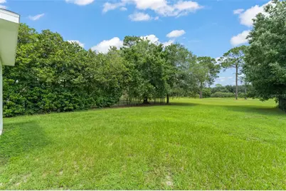 33411 Terragona Drive, Sorrento, FL 32776 - Photo 50