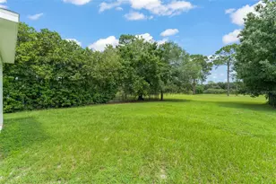 33411 Terragona Dr, Sorrento, FL 32776 - Photo 50