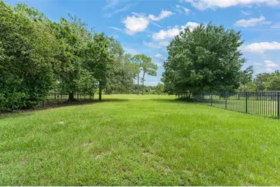 33411 Terragona Drive, Sorrento, FL 32776 - Photo 48