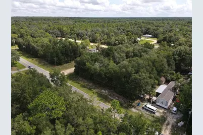 Franklin St, Interlachen, FL 32148 - Photo 4