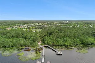 3268 Songbird Cir, Saint Cloud, FL 34773 - Photo 68