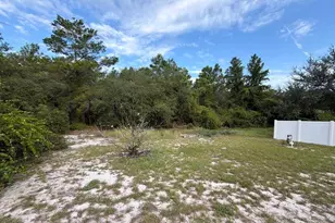 32911 Forest Ave, Leesburg, FL 34788 - Photo 14
