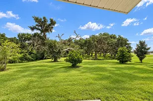 1971 Cricket Cradle Dr, Kissimmee, FL 34746 - Photo 16