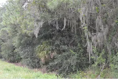 Deen Still Road W, Polk City, FL 33868 - Photo 8
