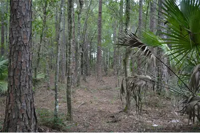 Deen Still Road W, Polk City, FL 33868 - Photo 6