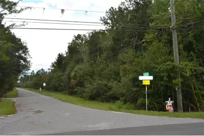 Deen Still Road W, Polk City, FL 33868 - Photo 2