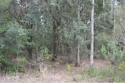 Deen Still Road W, Polk City, FL 33868 - Photo 4