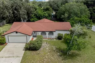 2 Blaine Tree Pl, Palm Coast, FL 32137 - Photo 1