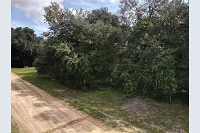 Gunner Ave, Interlachen, FL 32148 - Photo 2