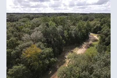 Gunner Ave Avenue, Interlachen, FL 32148 - Photo 46