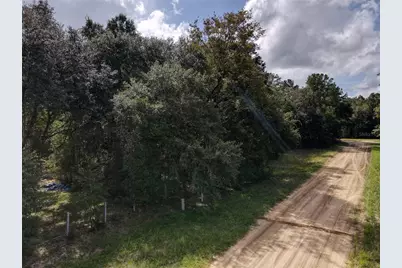 Gunner Ave Avenue, Interlachen, FL 32148 - Photo 22