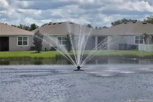 13318 Waterleaf Garden Cir, Riverview, FL 33579 - Photo 4