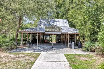 1016 Catori Road, Oakland, FL 34787 - Photo 60