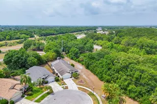 10240 Charleston Corner Rd, Tampa, FL 33635 - Photo 2