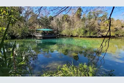 26 Wild Olive Court, Homosassa, FL 34446 - Photo 8