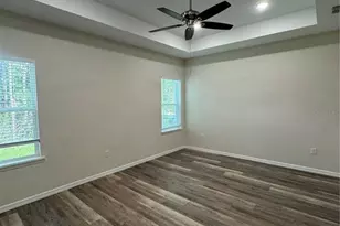 41346 Persimmon St, Eustis, FL 32736 - Photo 4